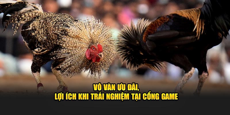 Vô vàn ưu đãi, lợi ích khi trải nghiệm tại cổng game